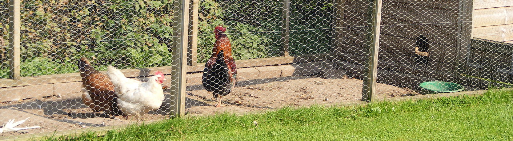 Kiekjes van Het Wisbroek