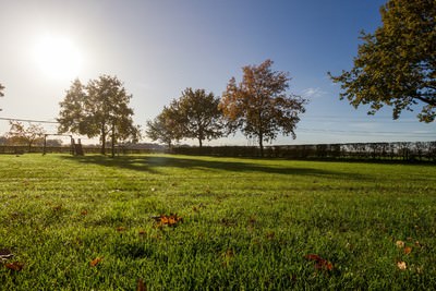 Groepsaccommodatie en boerderijcamping Het Wisbroek in Sint Hubert